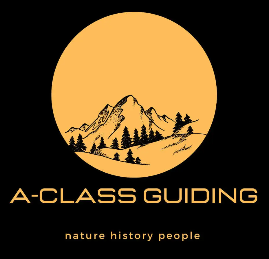 Private Guide Bled A-class guiding